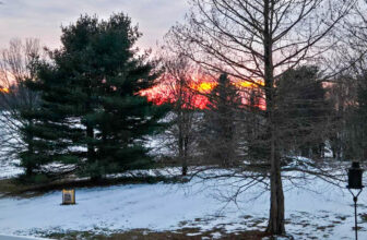 The Little Issues E-newsletter #455 – Life, laughter, and plenty of nice meals!