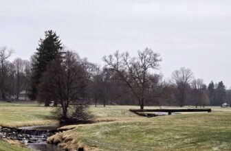 The Little Issues E-newsletter #456 – Life, laughter, and many nice meals!