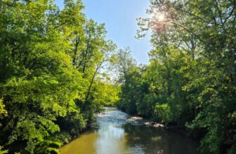 The Little Issues E-newsletter #470 – Life, laughter, and plenty of nice meals!