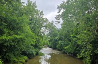 The Little Issues E-newsletter #480 – Life, laughter, and plenty of nice meals!